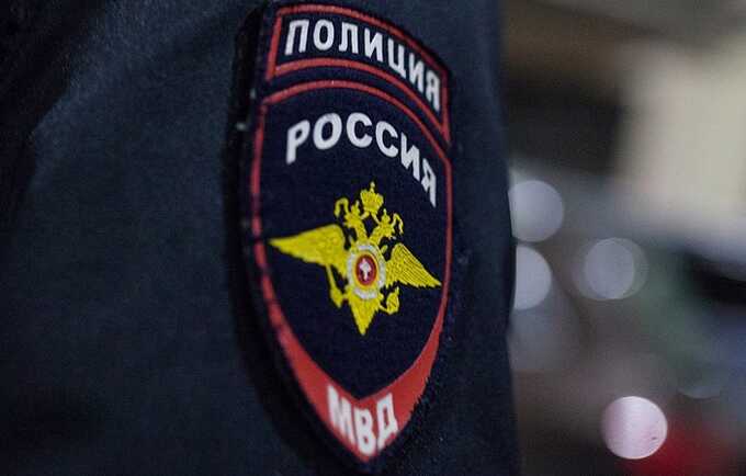 В Москве девушка-курьер помогла полиции задержать мошенника, который развёл пенсионерку