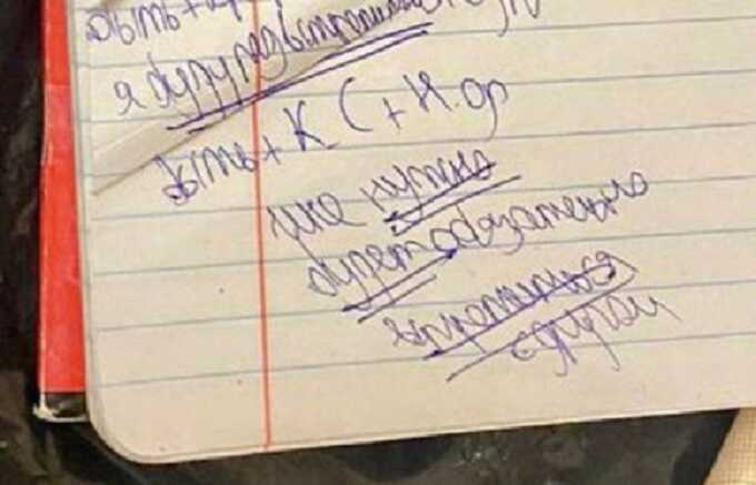 Расшифрована запись в тетради открывшей стрельбу школьницы