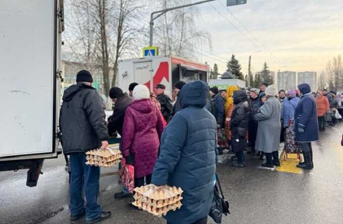 Жители Белгорода с 7 утра выстроились в очереди за дешевыми яйцами