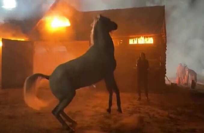 В Москве сгорела конюшня