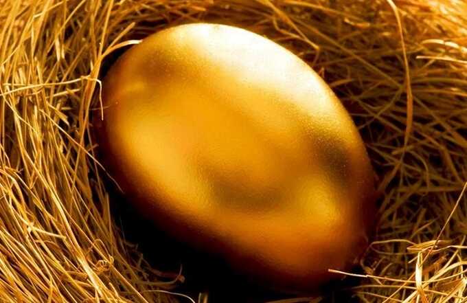 Новое золото: Кто в России наваривается на яйцах