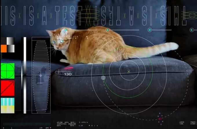 НАСА впервые показало видео с котом из дальнего космоса, которое передали лазером на миллионы километров