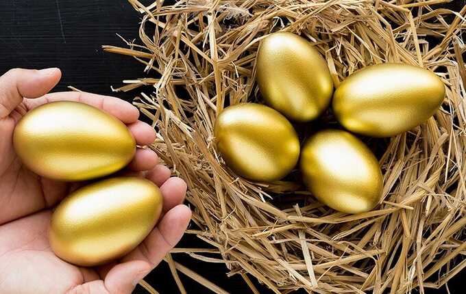 Золотые яйца, или Резиновый бюджет