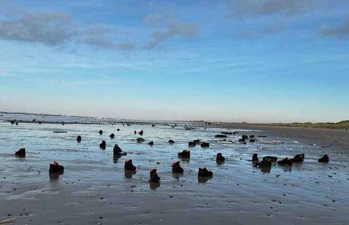 На пляжи Дании вынесло тысячи ботинок из-за шторма «Пиа»