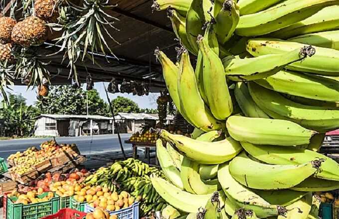 Обострение конфликта в Эквадоре грозит дефицитом бананов, креветок и цветов