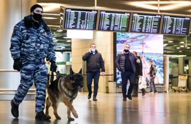 В багаже прилетевшего из Стамбула в Москву матроса нашли наркотики