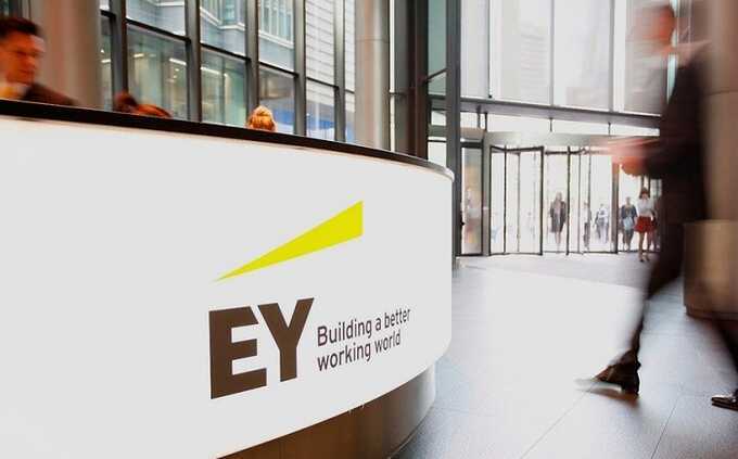 E&Y насоветовала новосибирской компании лишнего