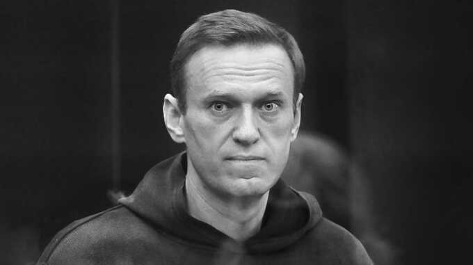 Как убивали Алексея Навального