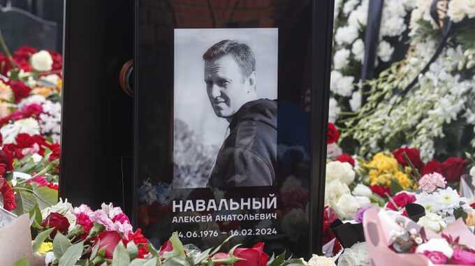Суд в Мурманске приравнял фото Алексея Навального к символике «экстремистской организации»