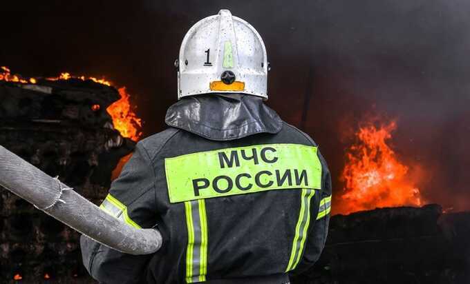 При пожаре в Новой Москве погибла семья с маленьким ребёнком