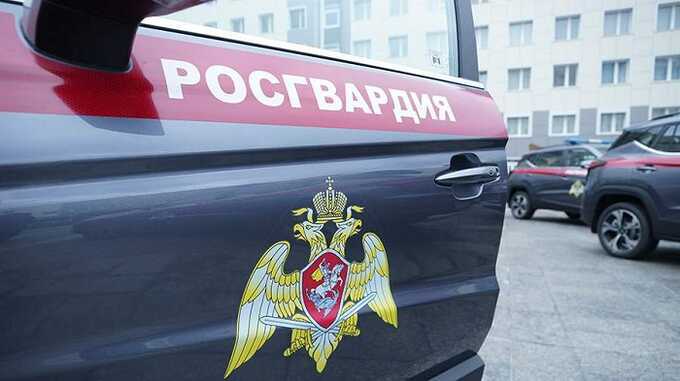 Чтобы впечатлить девушку, в Москве водитель на каршеринге устроил погоню с Росгвардией