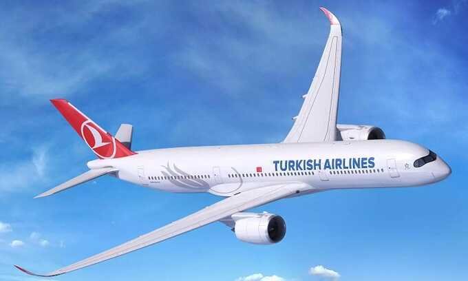 Самолёт Turkish Airlines вернулся в аэропорт Внуково из-за неадеквата на борту