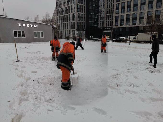 В сквере на юго-западе Москвы после снегопада рабочие высаживают деревья queiueiqudiqrhkrt