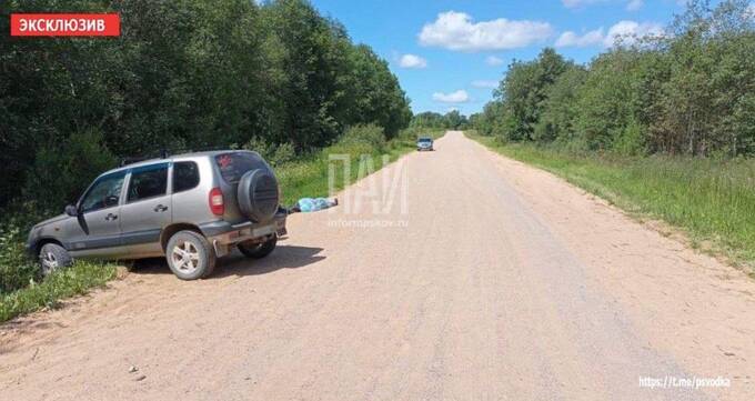 У сбитого машиной насмерть в Псковской области ребёнка нашли алкоголь в крови, а начальник полиции, судмедэксперт и водитель связаны родственными узами