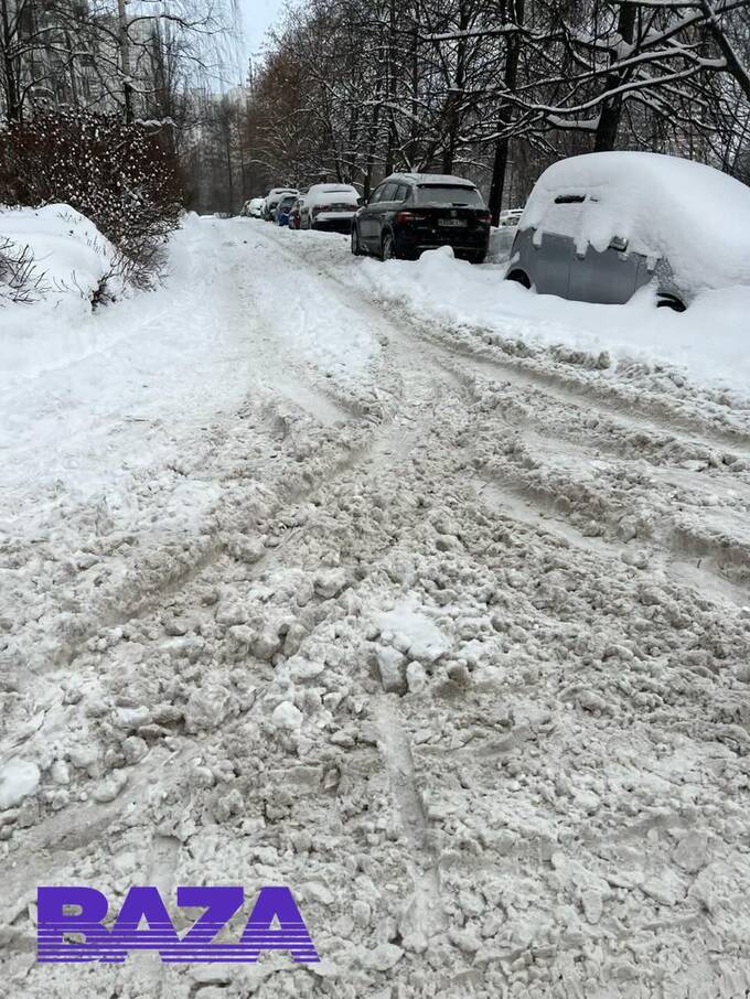 Чиновники удалили чат на 3000 жителей района Тропарево-Никулино после жалоб на плохую уборку снега