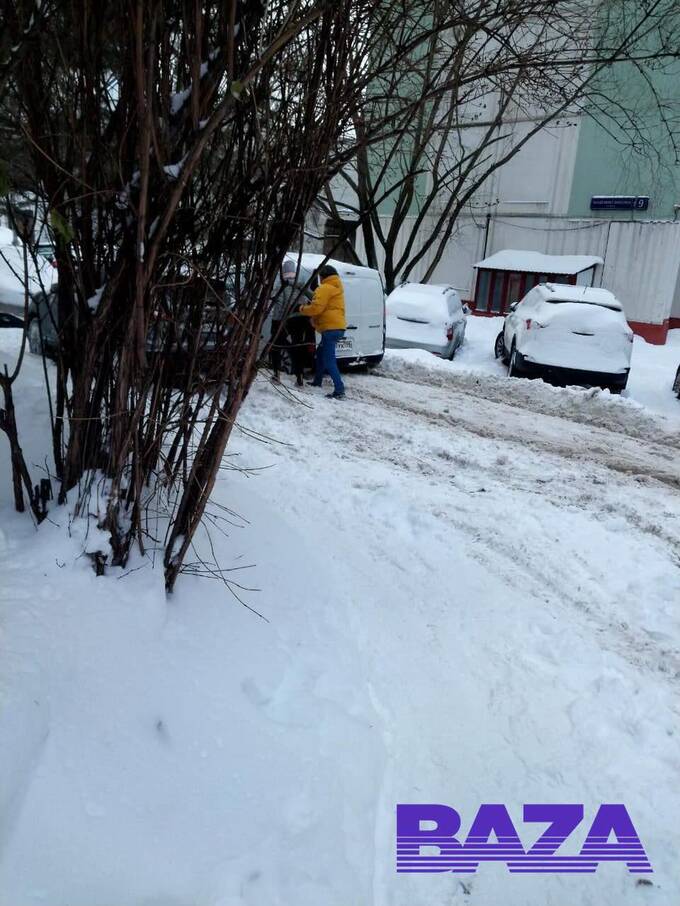 Чиновники удалили чат на 3000 жителей района Тропарево-Никулино после жалоб на плохую уборку снега