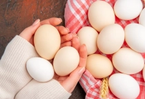 Власти Белгородской области объяснили ограничение продажи яиц до 20 штук в одни руки